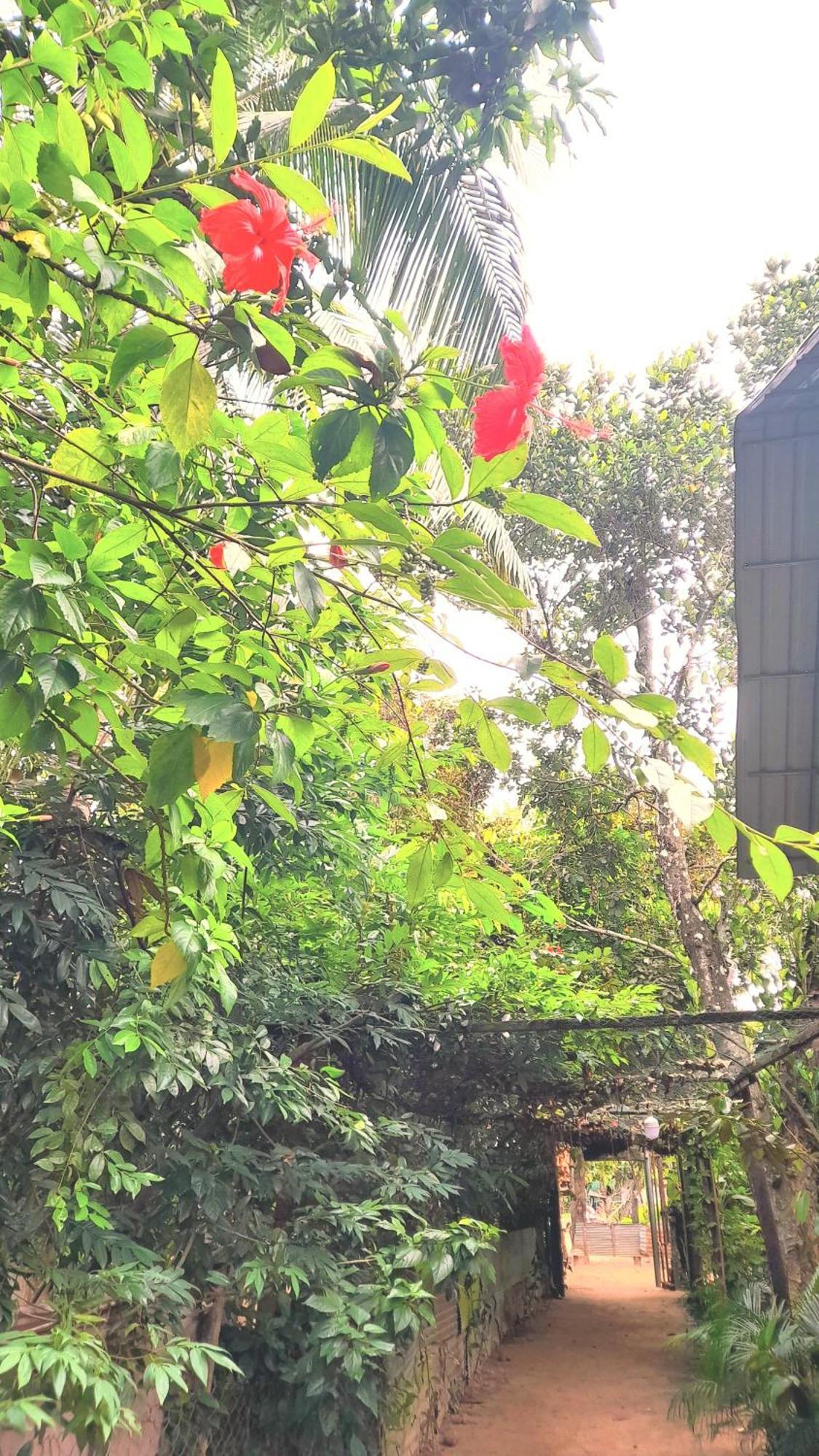 Sok Phen Homestay Siem Reap Exterior photo