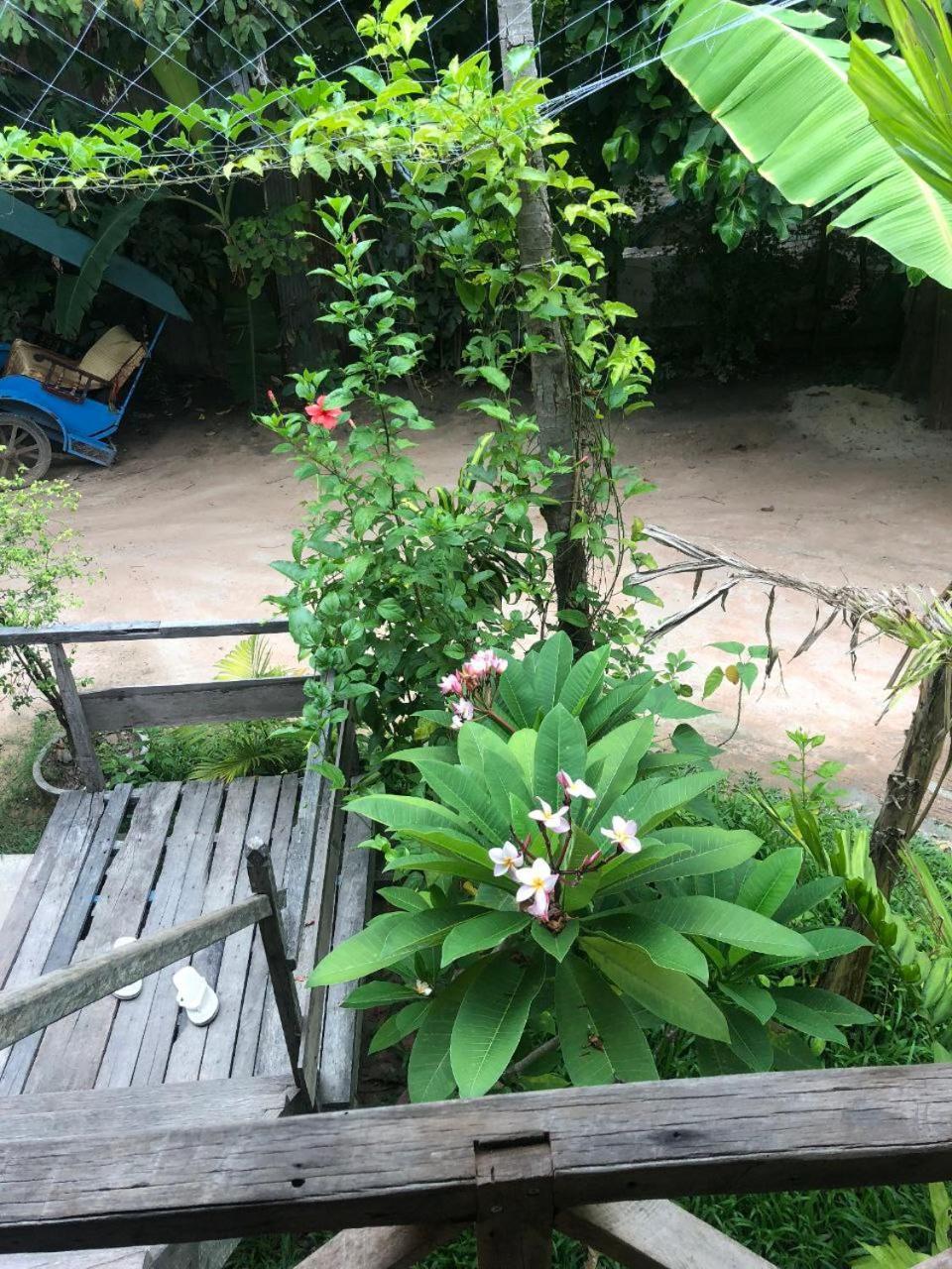 Sok Phen Homestay Siem Reap Exterior photo