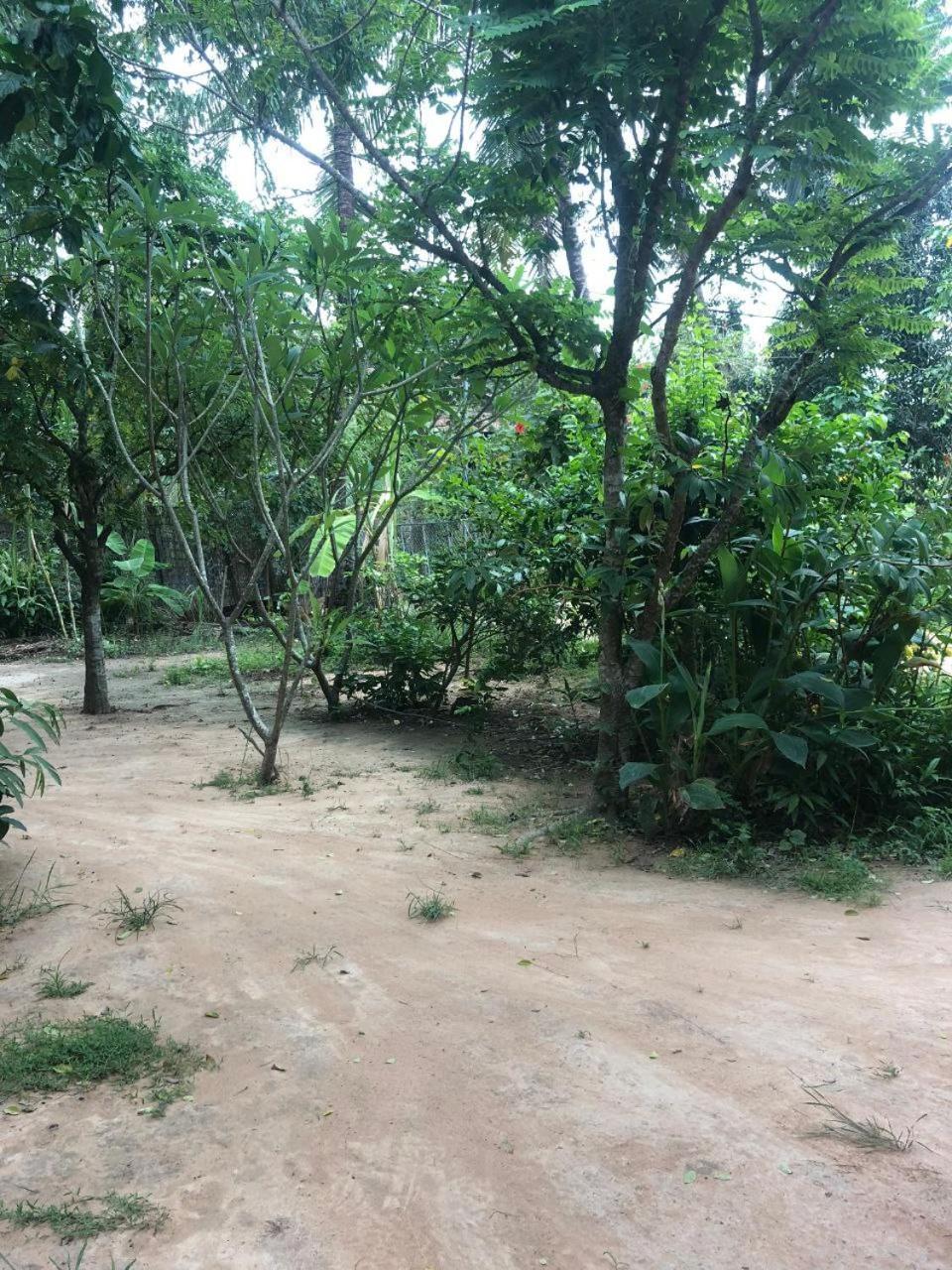 Sok Phen Homestay Siem Reap Exterior photo